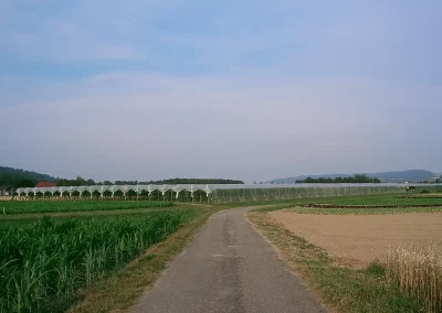Brühwiler Regendach Maxi im Einsatz