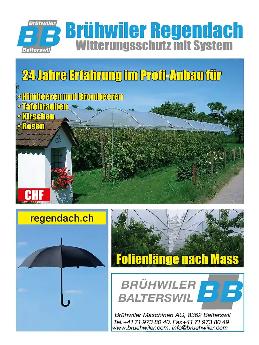 Brühwiler Regendach Katalog CHF Schweiz