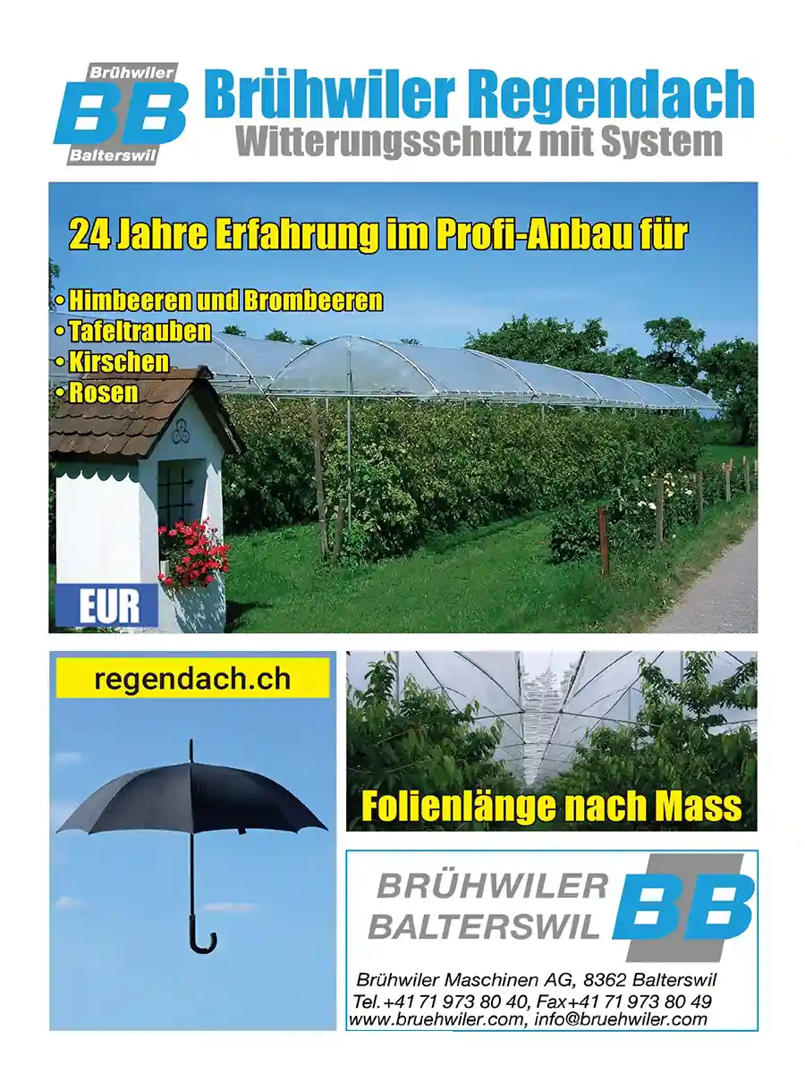 Brühwiler Regendach Katalog EUR Europa